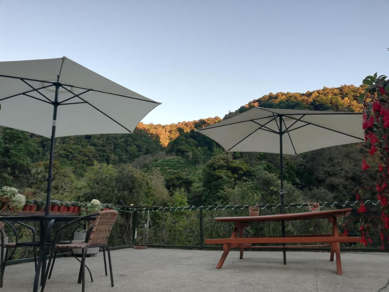 Los Lagos Lodge San Gerardo de Dota Εξωτερικό φωτογραφία